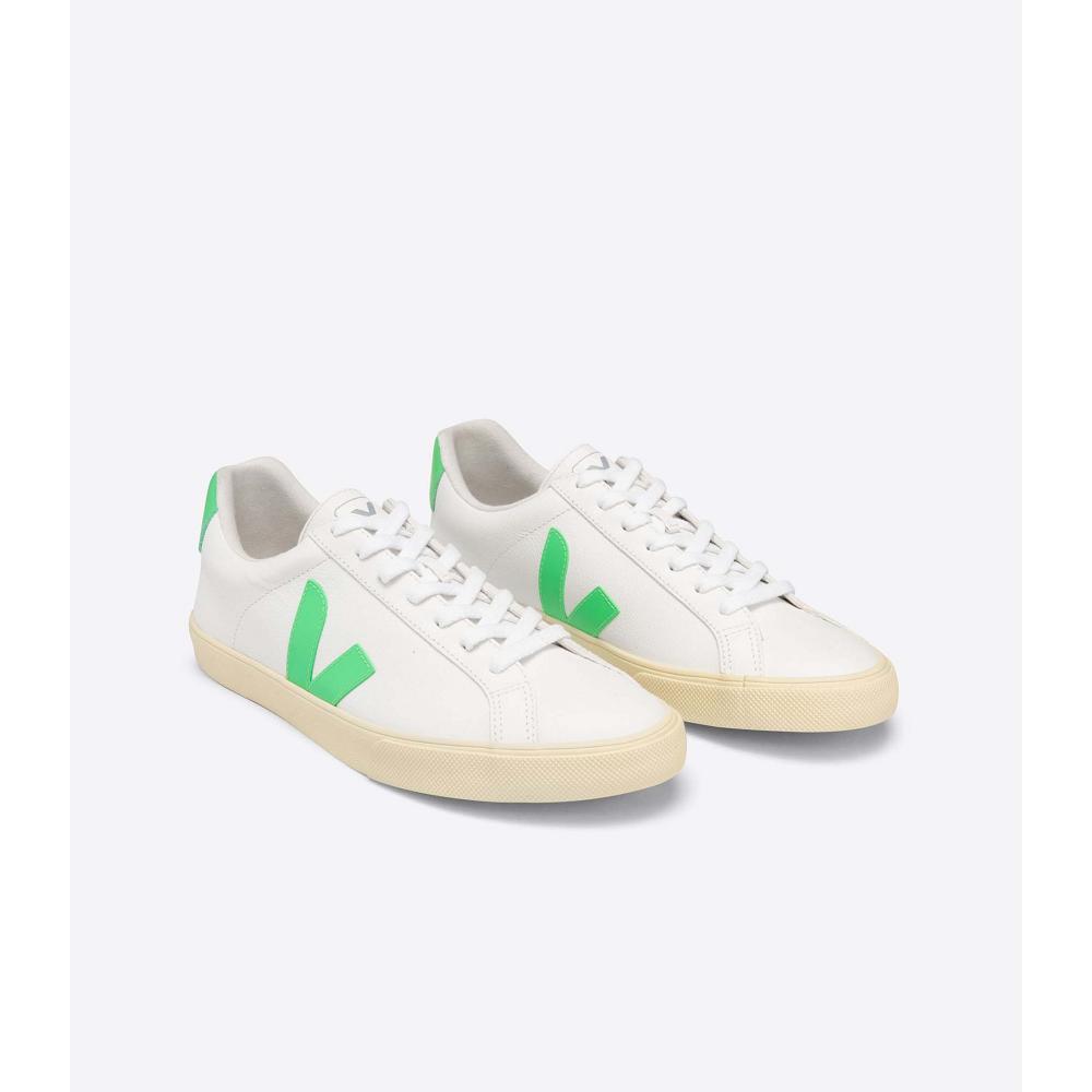 Veja ESPLAR CHROMEFREE Men's Shoes White/Green | NZ 192EBC